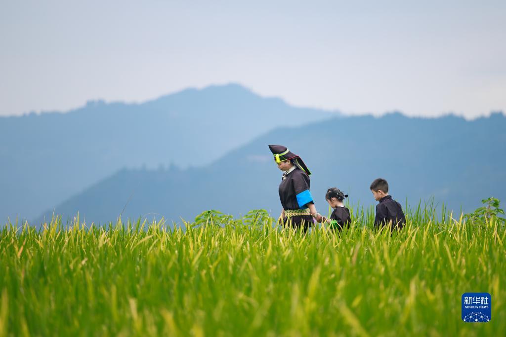 乐虎游戏官方